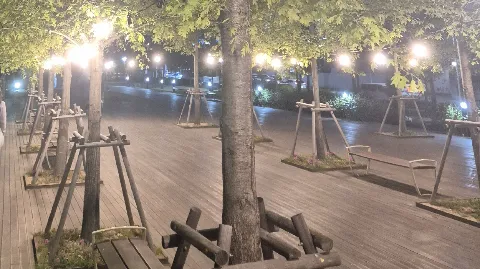 정모 대표 이미지