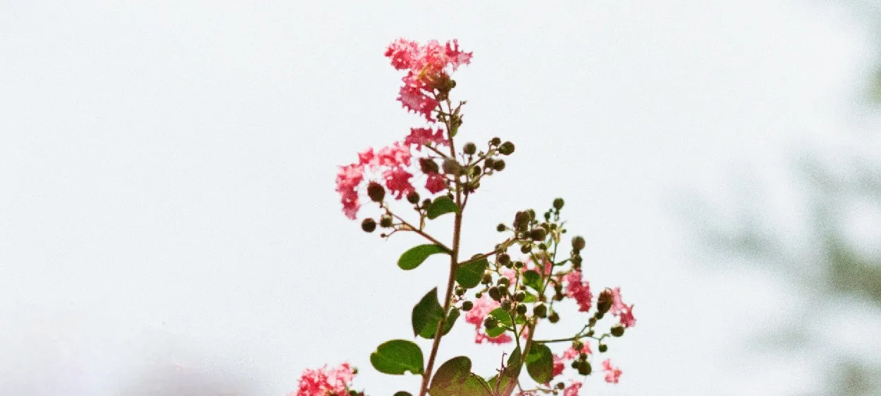 모임 이미지 1
