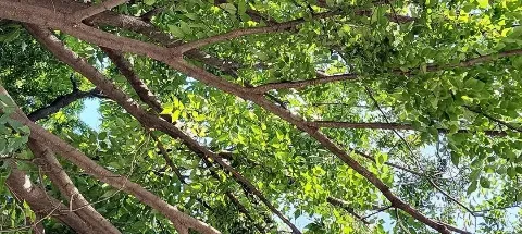 모임 대표 이미지