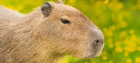 모임 대표 이미지