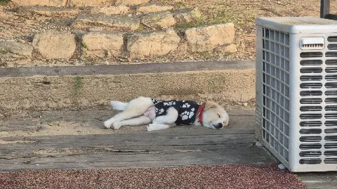 정모 대표 이미지