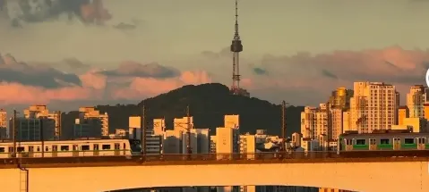 모임 대표 이미지