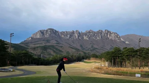 정모 대표 이미지