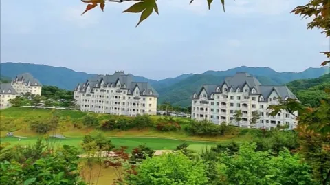 정모 대표 이미지