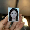 member face
