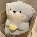 member face