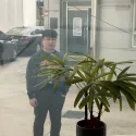 member face