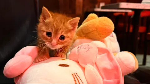 정모 대표 이미지