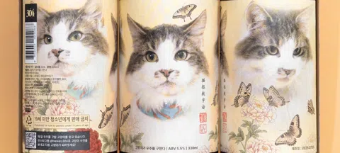 모임 대표 이미지