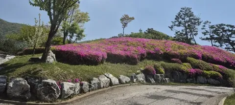 모임 대표 이미지