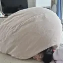 member face