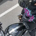 member face