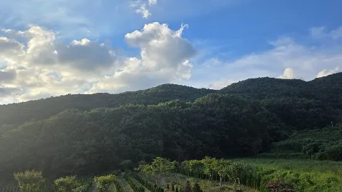 정모 대표 이미지