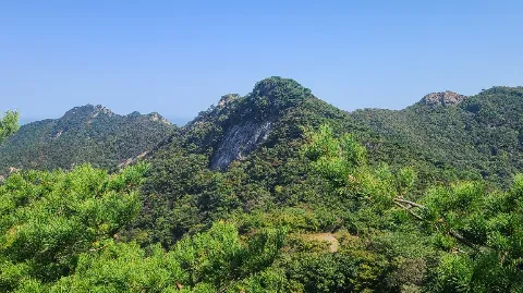 정모 대표 이미지