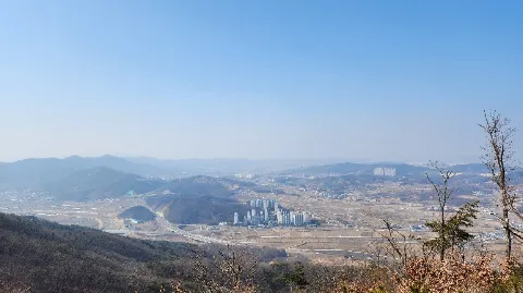 정모 대표 이미지