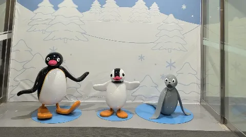 정모 대표 이미지