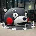 member face