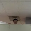 member face