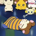 member face
