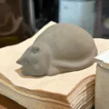 member face