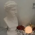 member face