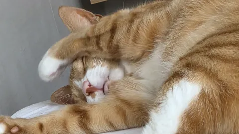정모 대표 이미지