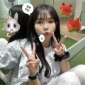 member face