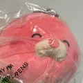 member face