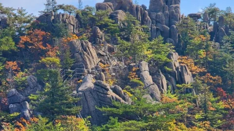 정모 대표 이미지
