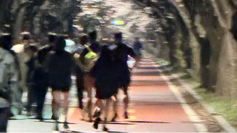 정모 대표 이미지