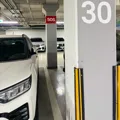 member face
