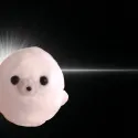 member face