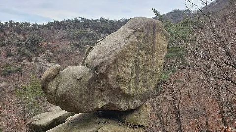 정모 대표 이미지