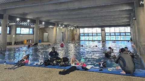 정모 대표 이미지