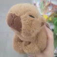 member face