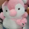 member face