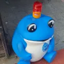 member face
