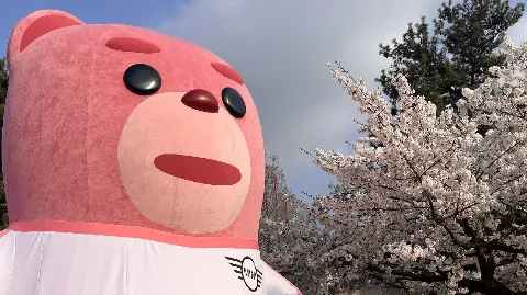 정모 대표 이미지