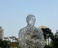 member face