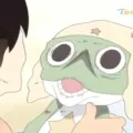 member face