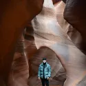 member face