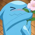 member face