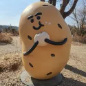 member face