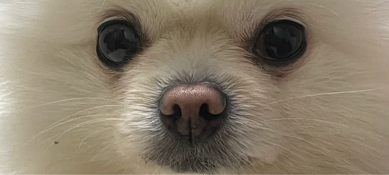 모임 이미지 1