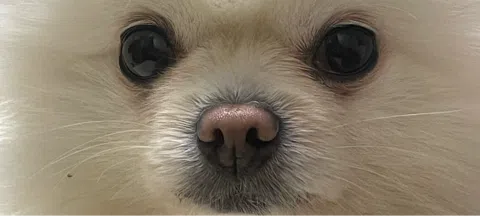 모임 대표 이미지