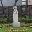member face