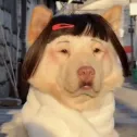member face