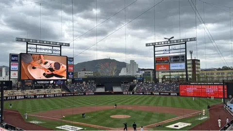 정모 대표 이미지