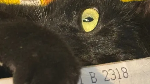 정모 대표 이미지