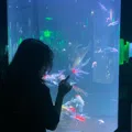 member face